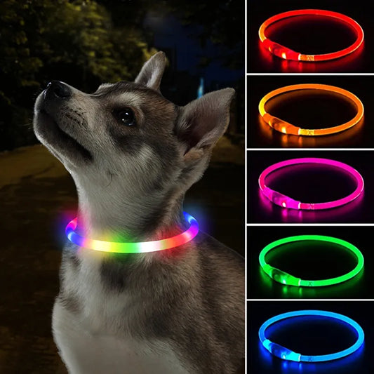 USB Chargeable Luminous Collar For Cats and Dogs